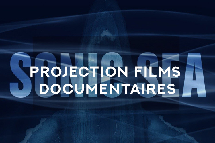 projection de films documentaires océans